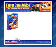 web site development - Ferret Care Advice