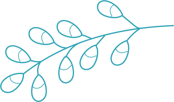 leaf image